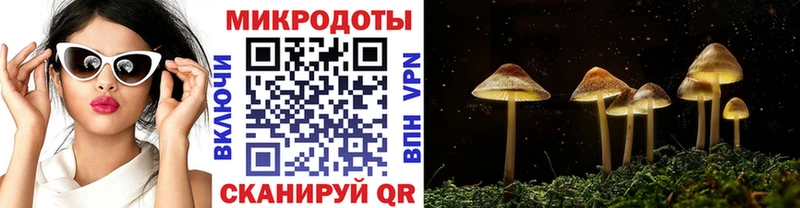 Галлюциногенные грибы Cubensis Топки