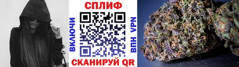 купить  цена  Топки  Бошки марихуана семена 